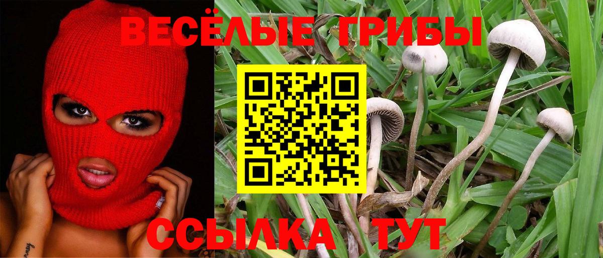 Галлюциногенные грибы прущие грибы Кувандык